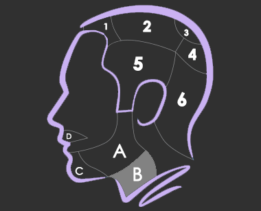 0b